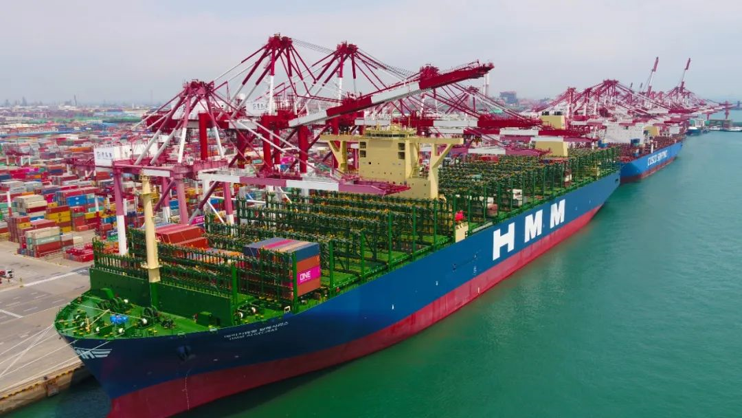 埃及出口雙清到門你真的懂嗎？